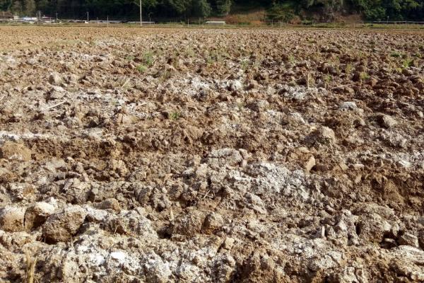 熟石灰能不能改良酸性土壤