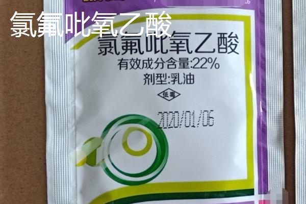 生姜出苗后用什么药除草