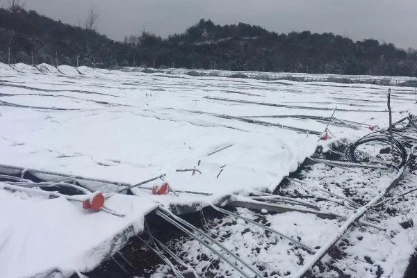 大棚被雪压塌能不能顶起来