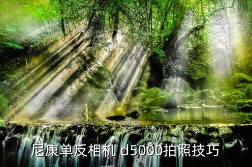 尼康单反相机 d5000拍照技巧