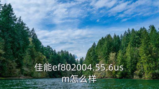 佳能ef802004.55.6usm怎么样