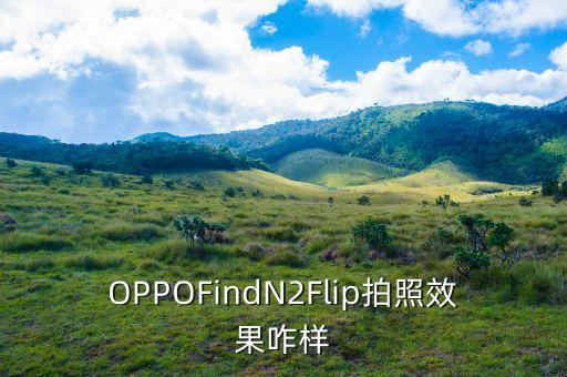 OPPOFindN2Flip拍照效果咋样