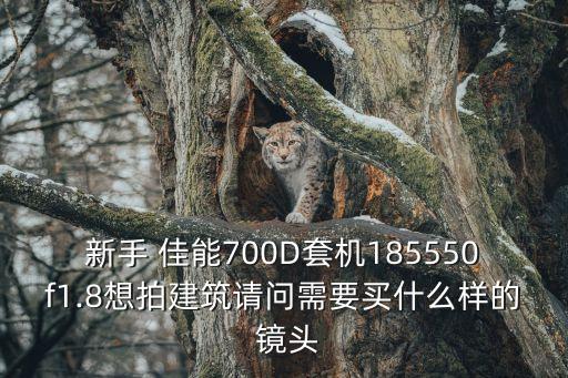 新手 佳能700D套机185550f1.8想拍建筑请问需要买什么样的 镜头