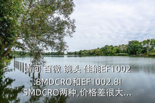 请问 百微 镜头 佳能EF1002.8MDCRO和EF1002.8ISMDCRO两种,价格差很大...