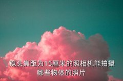 镜头 15mm,镜头下的灯火树,私自收藏的幸福