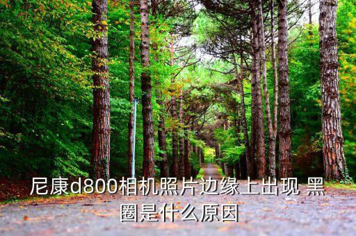 尼康d800相机照片边缘上出现 黑圈是什么原因