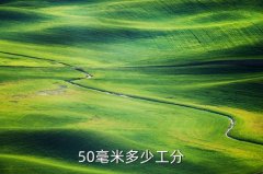 50mm等于多少分，50毫米多少工分