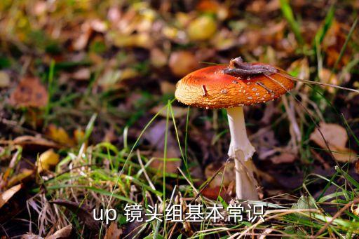 up 镜头组基本常识