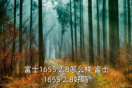  富士1655 2.8怎么样 富士1655 2.8好吗