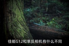 佳能 g12 换镜头,佳能g12照片怎么转到手机