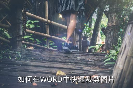 如何在WORD中快速裁剪图片