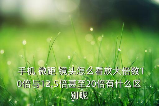  手机 微距 镜头怎么看放大倍数10倍与12.5倍甚至20倍有什么区别呢