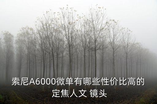 索尼A6000微单有哪些性价比高的 定焦人文 镜头