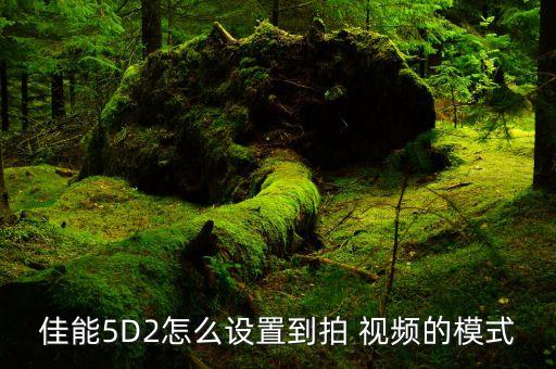 佳能5D2怎么设置到拍 视频的模式