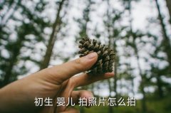 <b>一个月婴儿拍照技巧,婴儿拍照适合的时间段是三</b>