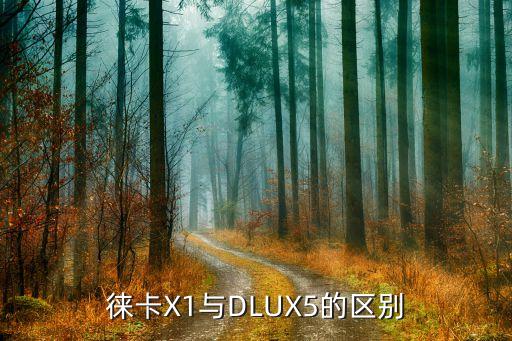 徕卡X1与DLUX5的区别