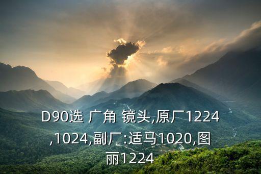 D90选 广角 镜头,原厂1224,1024,副厂:适马1020,图丽1224