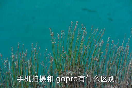 手机拍摄和 gopro有什么区别