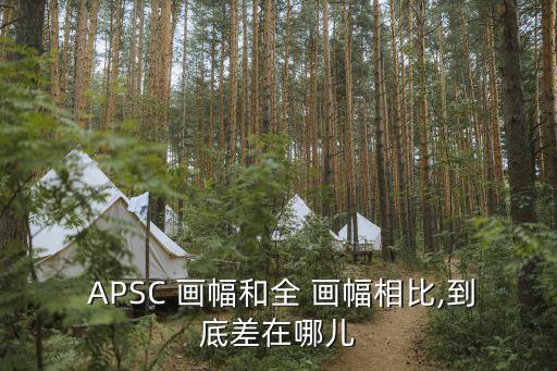  APSC 画幅和全 画幅相比,到底差在哪儿