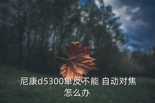  尼康d5300单反不能 自动对焦怎么办