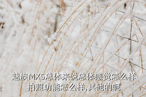  魅族MX5总体来说总体感觉怎么样 拍照功能怎么样,其他的呢