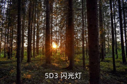 5D3 闪光灯