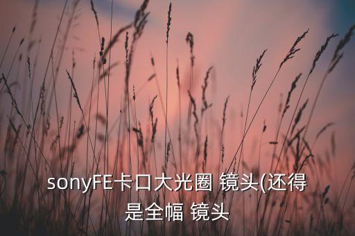 sonyFE卡口大光圈 镜头(还得是全幅 镜头