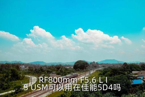  RF800mm F5.6 L IS USM可以用在佳能5D4吗