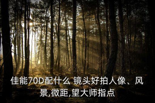 佳能70D配什么 镜头好拍人像、风景,微距,望大师指点