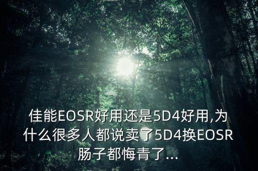 佳能EOSR好用还是5D4好用,为什么很多人都说卖了5D4换EOSR肠子都悔青了...