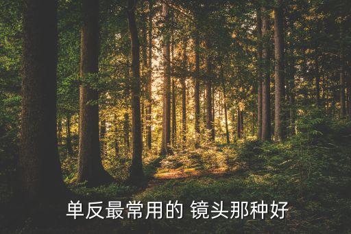  单反最常用的 镜头那种好