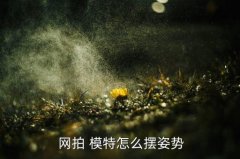 网拍模特拍照技巧,平面模特拍照技巧