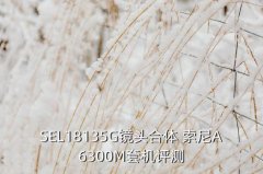 索尼 6300m 6300l区别,索尼al和m区别