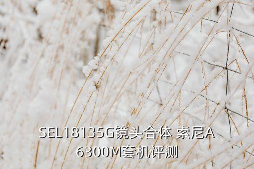 SEL18135G镜头合体 索尼A6300M套机评测