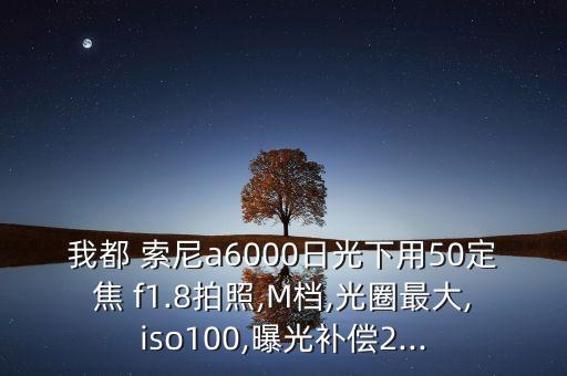 我都 索尼a6000日光下用50定焦 f1.8拍照,M档,光圈最大,iso100,曝光补偿2...