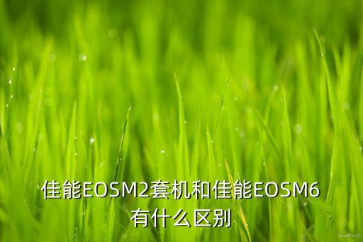 佳能EOSM2套机和佳能EOSM6有什么区别