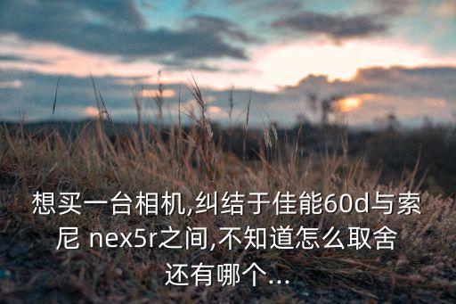 想买一台相机,纠结于佳能60d与索尼 nex5r之间,不知道怎么取舍还有哪个...