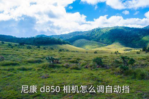  尼康 d850 相机怎么调自动挡