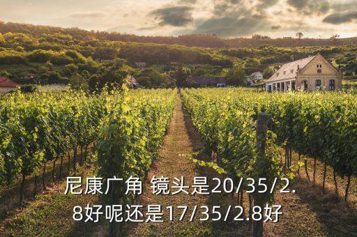  尼康广角 镜头是20/35/2.8好呢还是17/35/2.8好