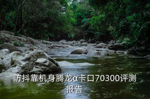 防抖靠机身腾龙α卡口70300评测报告