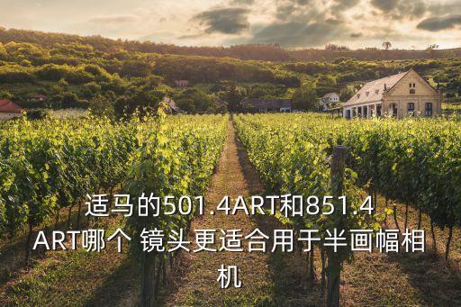 适马的501.4ART和851.4ART哪个 镜头更适合用于半画幅相机