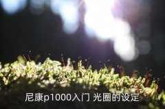 尼康百微镜头光圈能调节吗