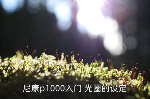 尼康p1000入门 光圈的设定