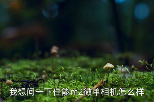 我想问一下佳能m2微单相机怎么样