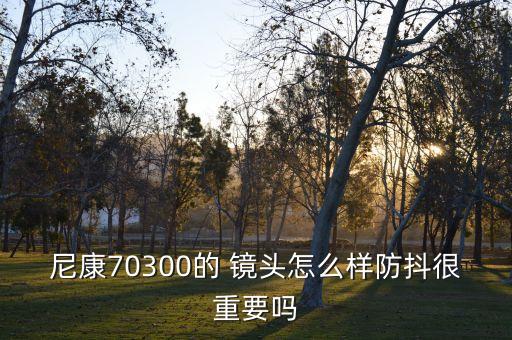 尼康70300的 镜头怎么样防抖很重要吗