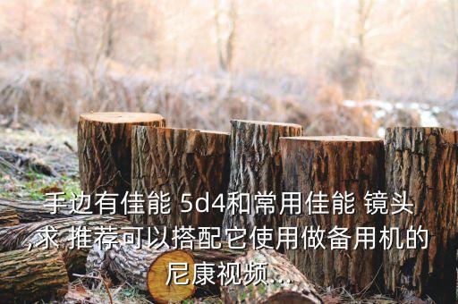 手边有佳能 5d4和常用佳能 镜头,求 推荐可以搭配它使用做备用机的尼康视频...