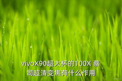 vivoX90超大杯的100X 蔡司超清变焦有什么作用