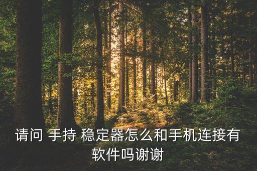 请问 手持 稳定器怎么和手机连接有软件吗谢谢