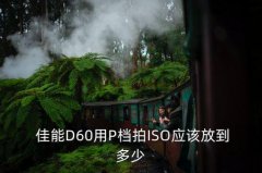 佳能d60使用技巧,如何设置采集卡-