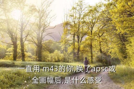 一直用 m43的你,换了apsc或全画幅后,是什么感受